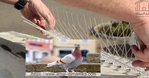 ارخص شركة طارد حمام بالرياض