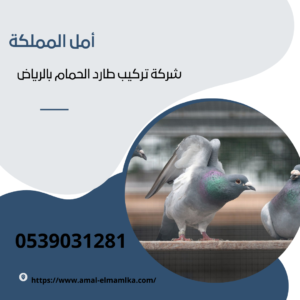 افضل شركة تركيب طارد الحمام بالرياض