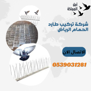 شركة تركيب طارد الحمام بالرياض
