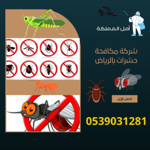 شركة مكافحة حشرات الرياض
