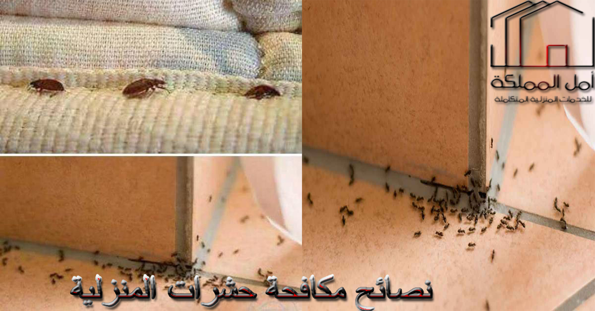 نصائح مكافحة حشرات
