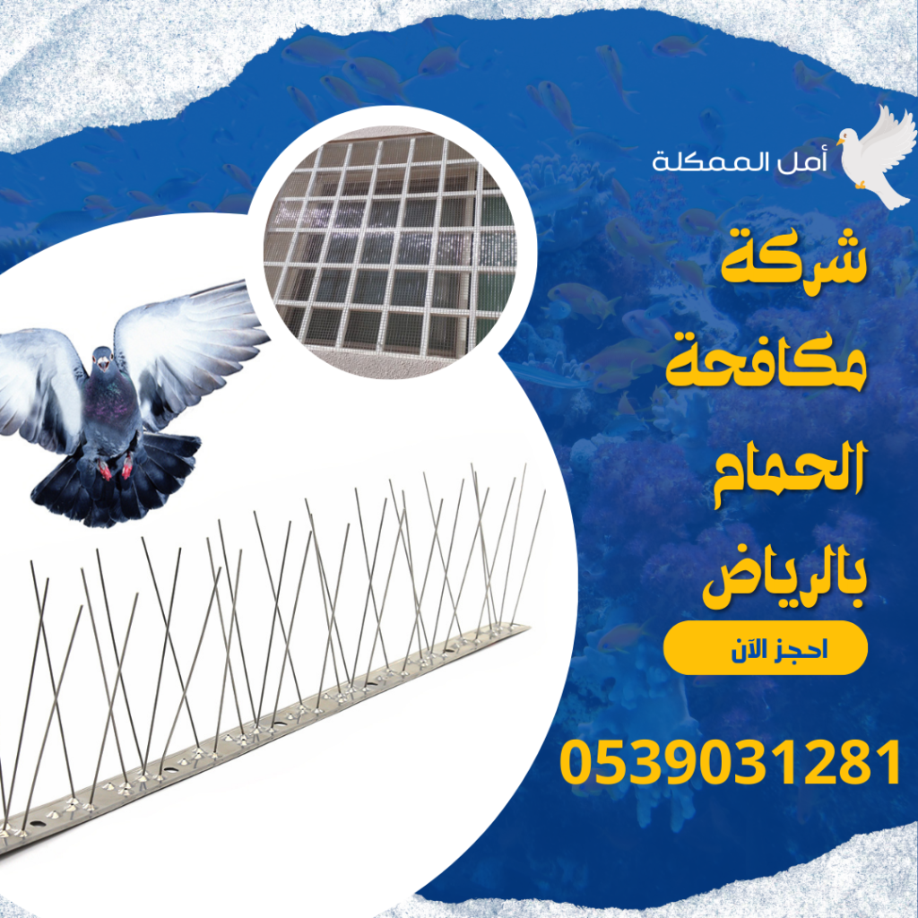 افضل شركة مكافحة الحمام بالرياض