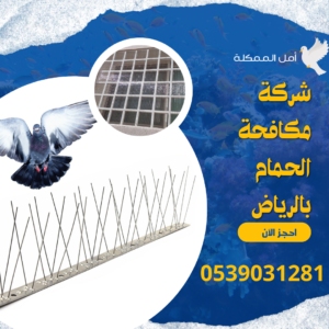 افضل شركة مكافحة الحمام بالرياض