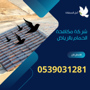شركة مكافحة الحمام الرياض