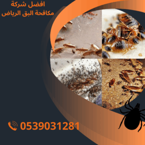 افضل شركة البق بالرياض
