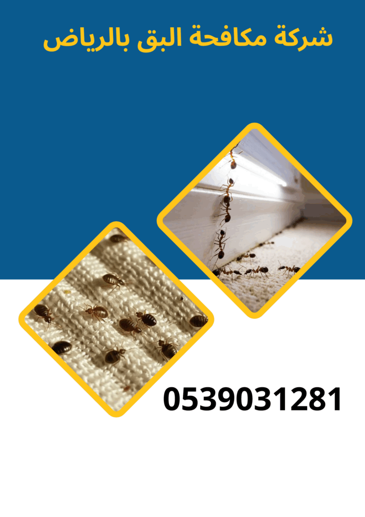 شركة مكافحة البق بالرياض