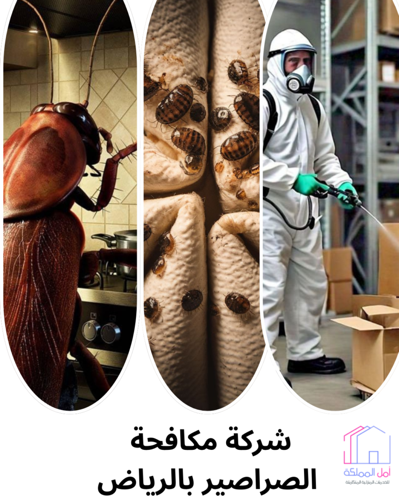 افضل شركة مكافحة الصراصير بالرياض