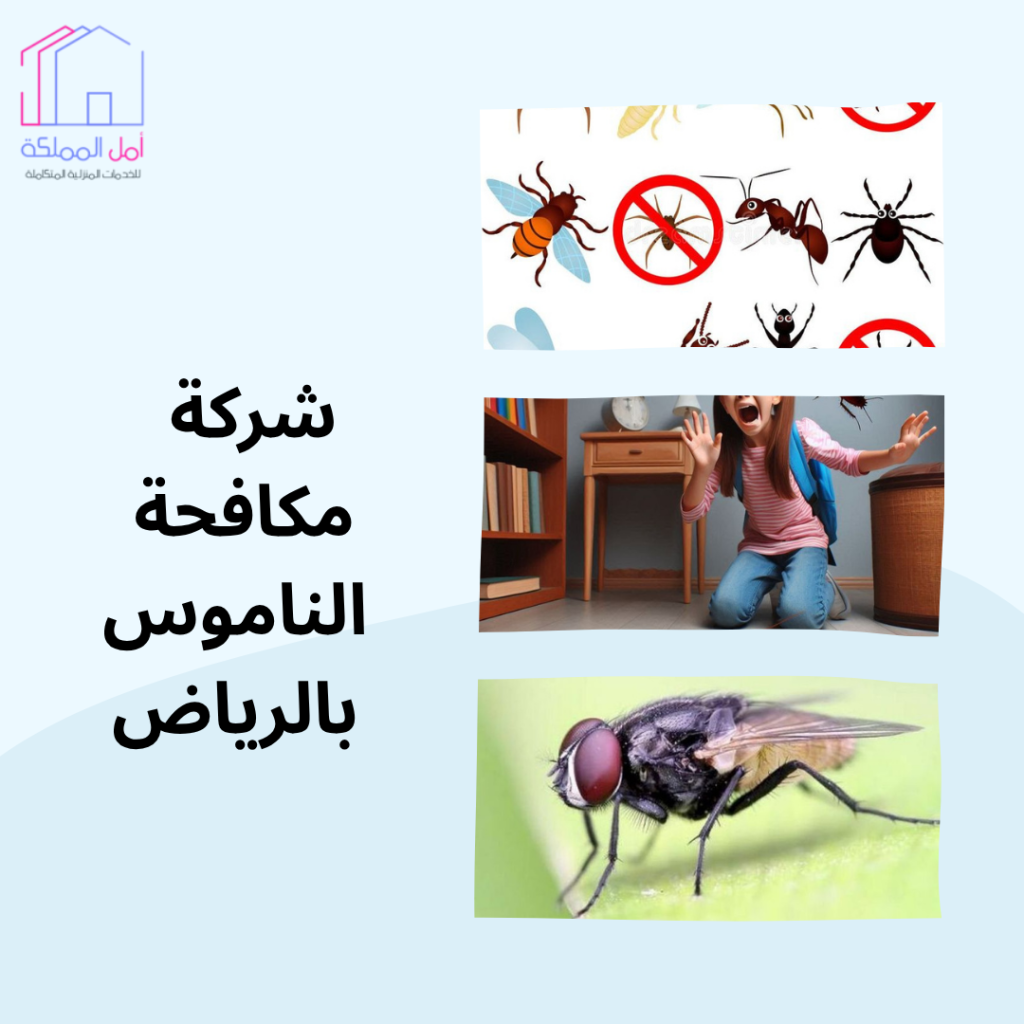 افضل شركة مكافحة الناموس بالرياض