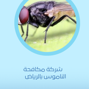 شركة مكافحة الناموس بالرياض